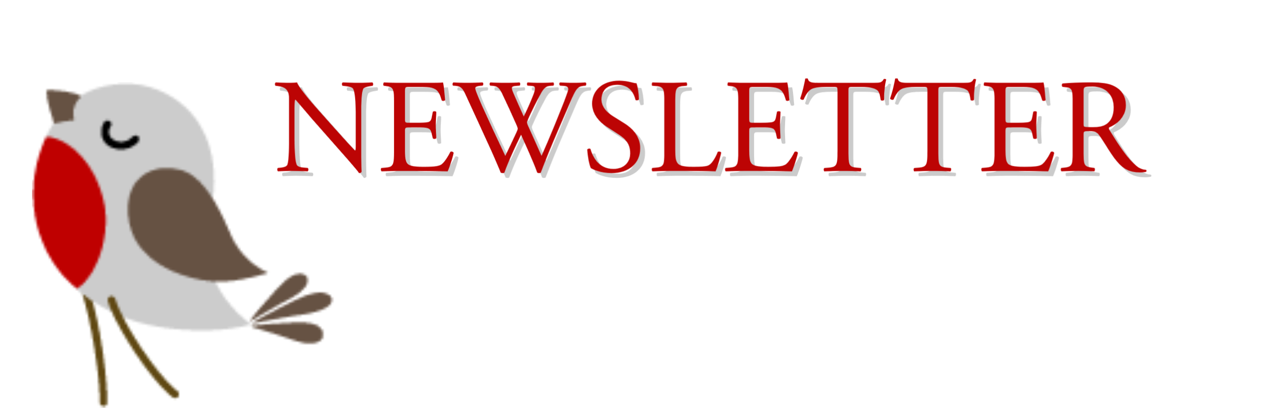 Newsletter ROBIN